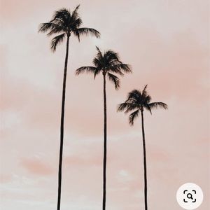 Meet your Posher, Lora